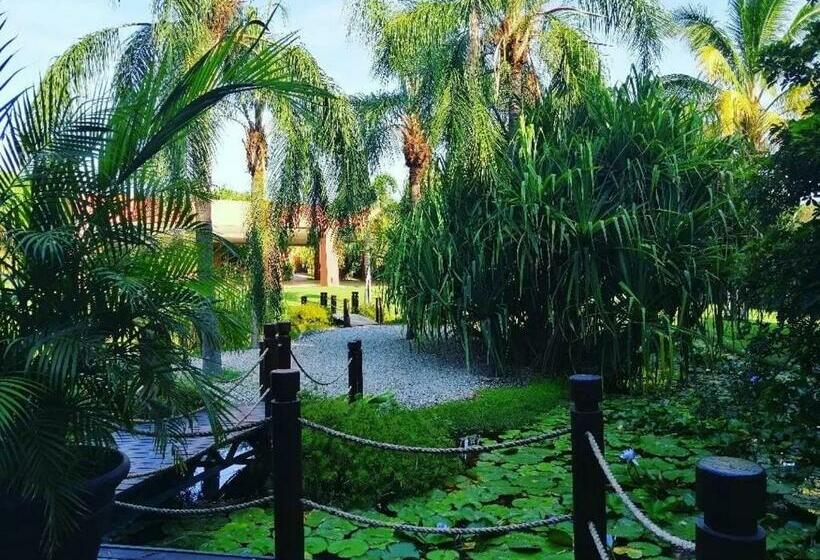 בקתה סטנדרטית, Soul Spring Sanctuary
