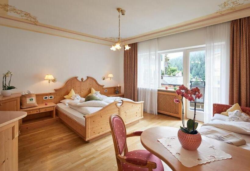 Номер Superior, Dolomites Wellness Hotel Savoy
