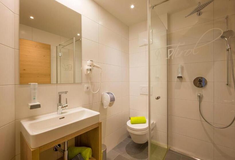 Номер Стандарт Вид на Горы, Aparthotel Alptirol