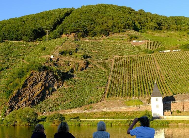 Номер Стандарт, Gästehaus & Weingut Clüsserath Weiler