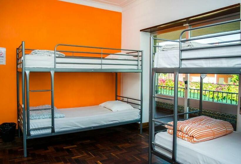 تختخواب در اتاق مشترک, Carcavelos Surf Hostel And Surf Camp