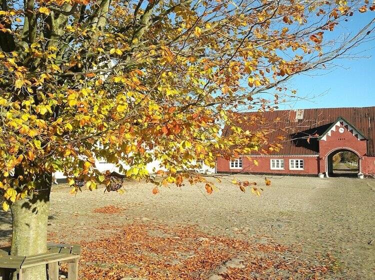 Трехместный Номер Стандарт Совместная Ванная, Holtegaard Bed & Breakfast