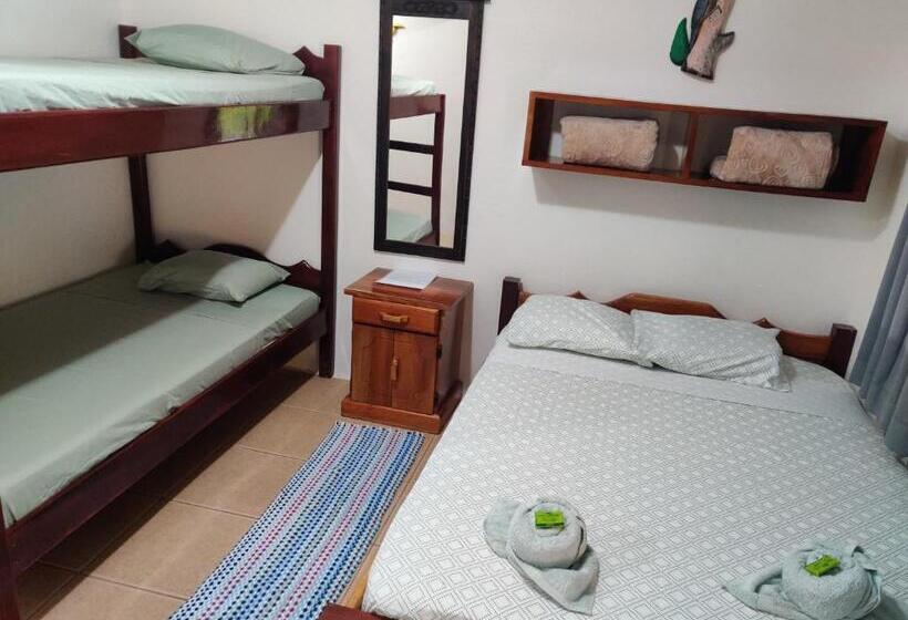 Номер Стандарт с Койками, Cabinas Pura Vida B&b Tour Operator