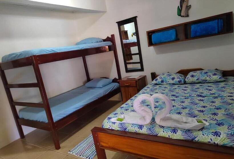 Номер Стандарт с Койками, Cabinas Pura Vida B&b Tour Operator