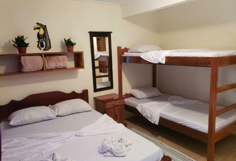 Номер Стандарт с Койками, Cabinas Pura Vida B&b Tour Operator