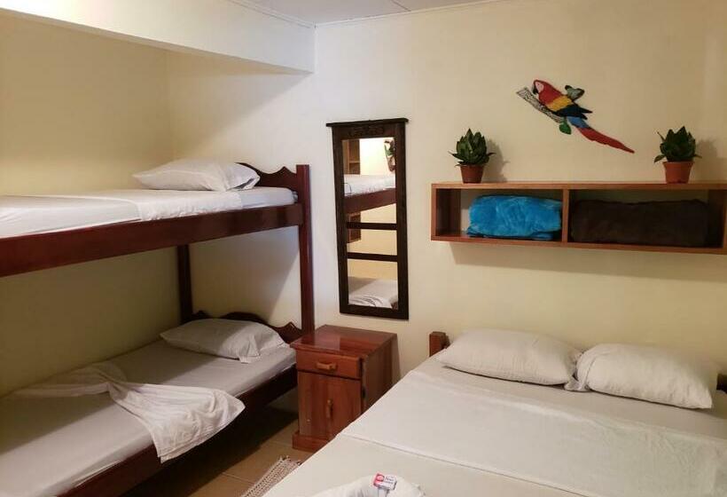 Номер Стандарт с Койками, Cabinas Pura Vida B&b Tour Operator
