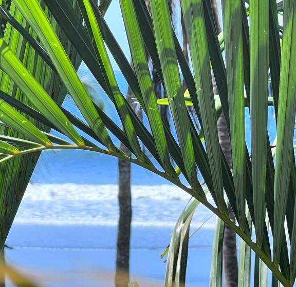 스탠다드 스튜디오, Ola Bonita Beachfront Apart