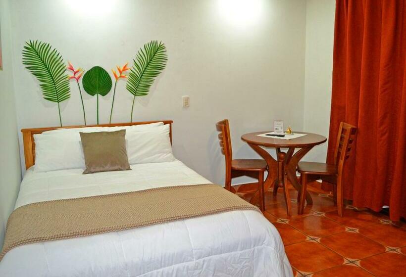 带园景的单人房, Casa Tropical