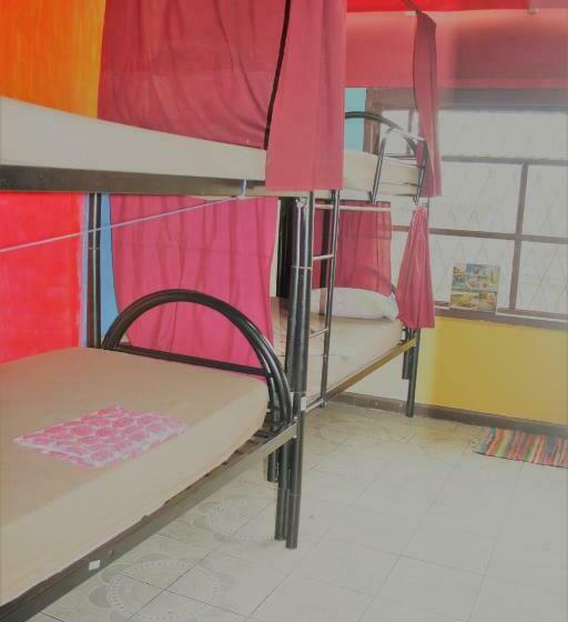 공동 객실, In The Wind Hostel And Guesthouse