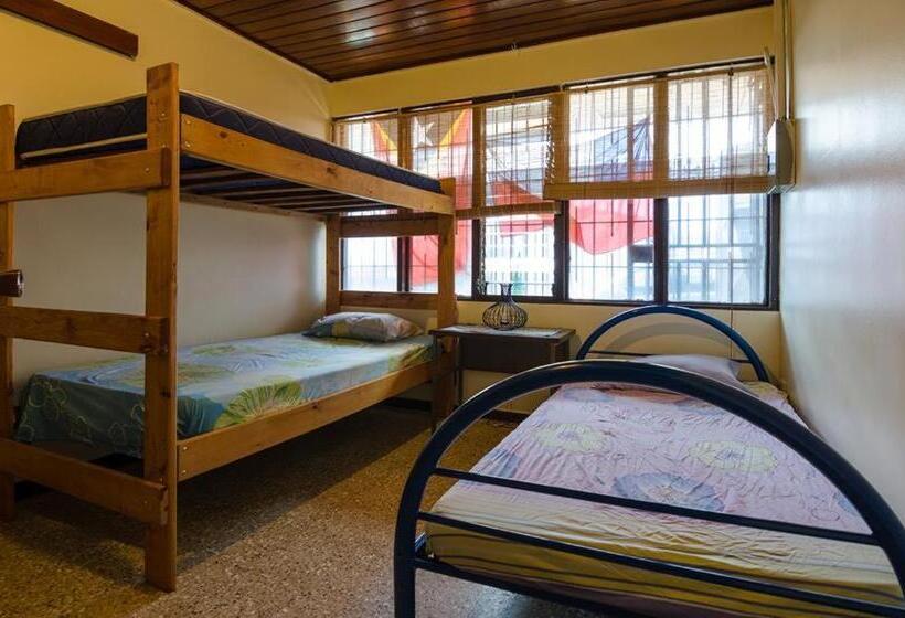 스탠다드 트리플 룸, In The Wind Hostel And Guesthouse