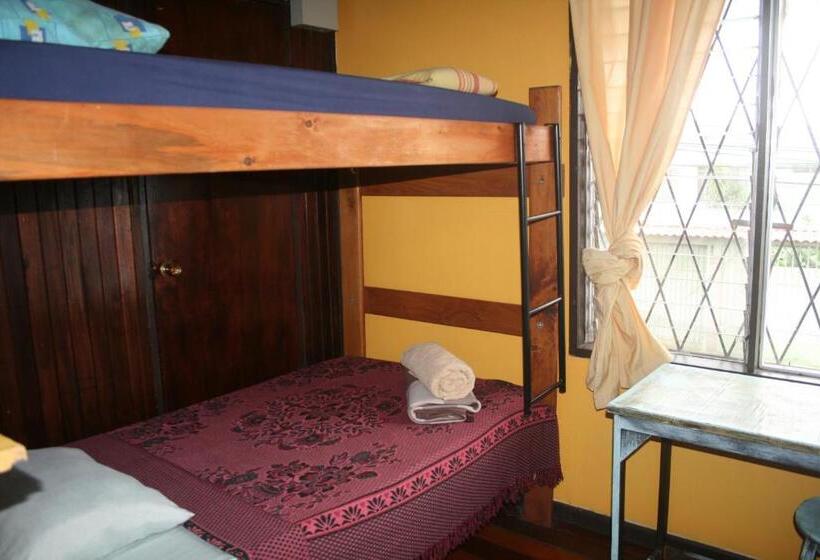 스탠다드 룸, In The Wind Hostel And Guesthouse