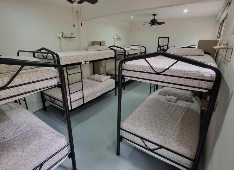 تختخواب در اتاق مشترک, Casa Pura Vida Surf Hostel   Tamarindo Costa Rica