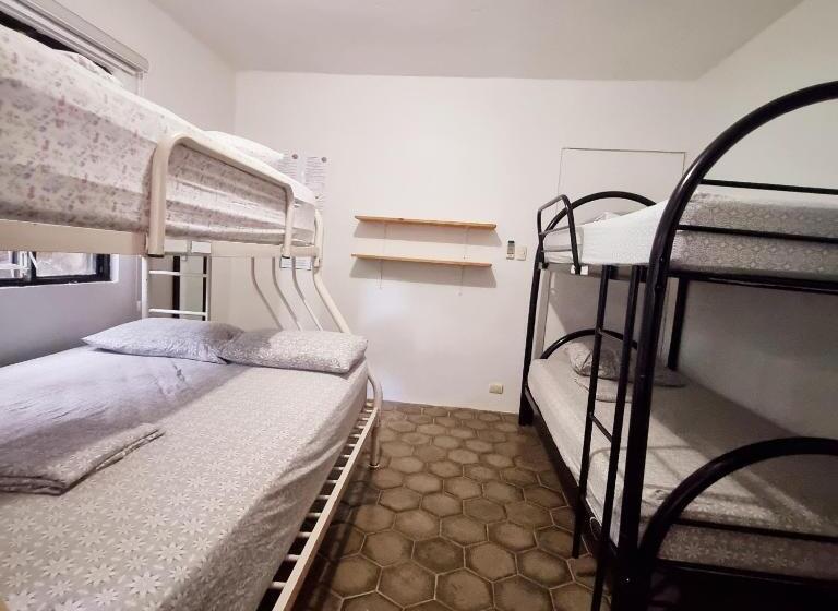 اتاق استاندارد چهار تخته, Casa Pura Vida Surf Hostel   Tamarindo Costa Rica