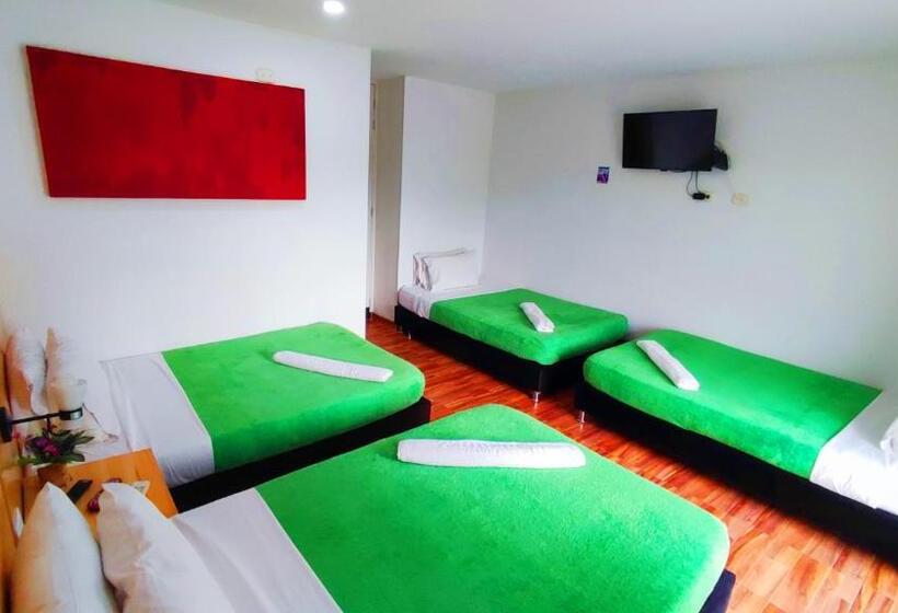 اتاق کلاسیک چهارنفره, Berdez