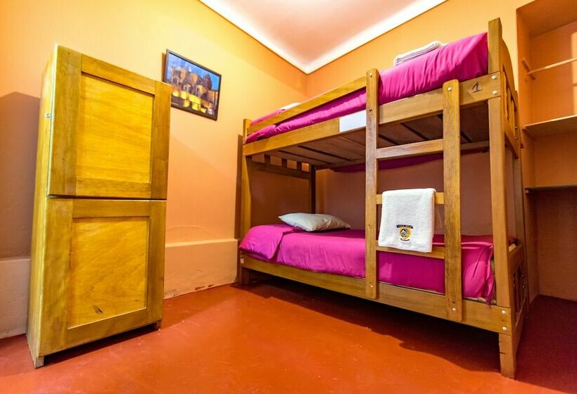 Номер Стандарт, Inka Wild Hostel