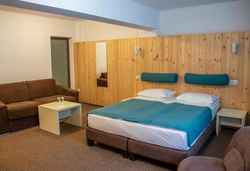 스탠다드 룸, Complex Hotelier Cota O Mie