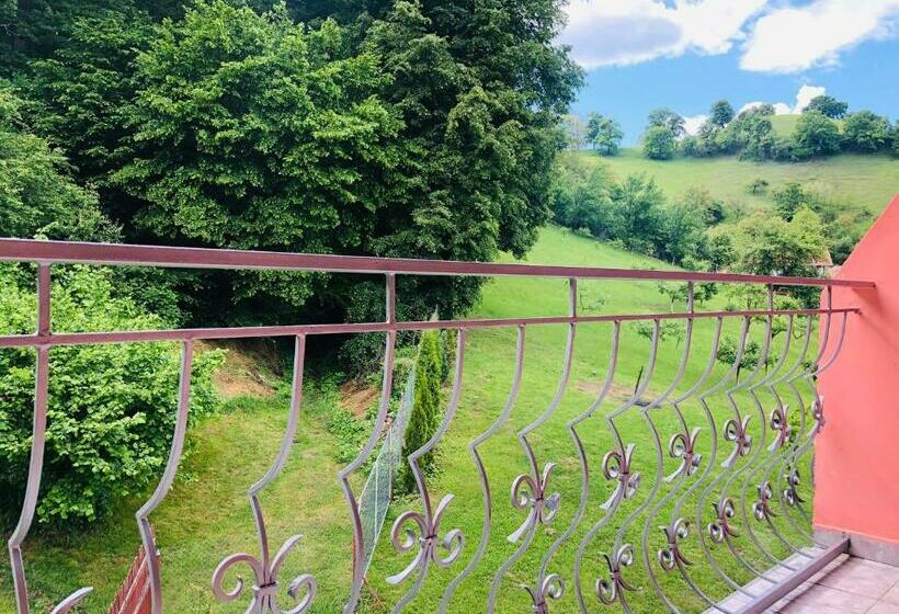 Номер Стандарт Трехместный, Poenita