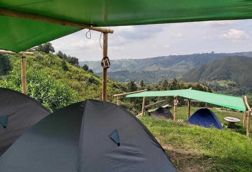 Tienda Estándar, Hostal Y Camping Los Girasoles