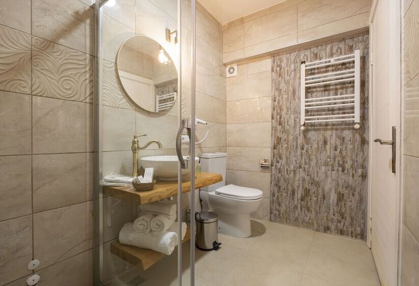 豪华房间, Aya Butik Otel