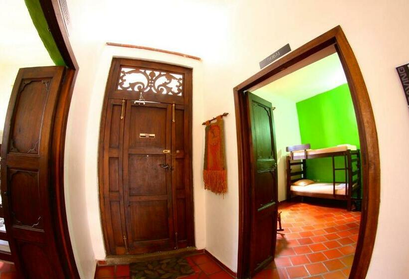 공동 객실, Real Dream Hostel