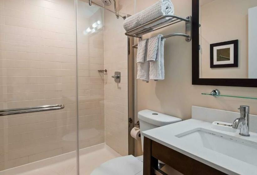 اتاق استاندارد با تخت بزرگ, Best Western Plus Philadelphia Convention Center
