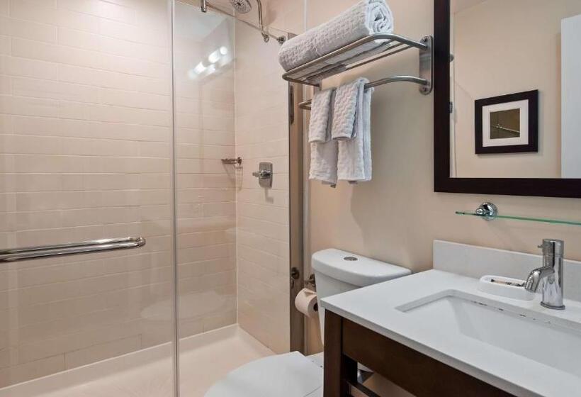 اتاق لوکس, Best Western Plus Philadelphia Convention Center
