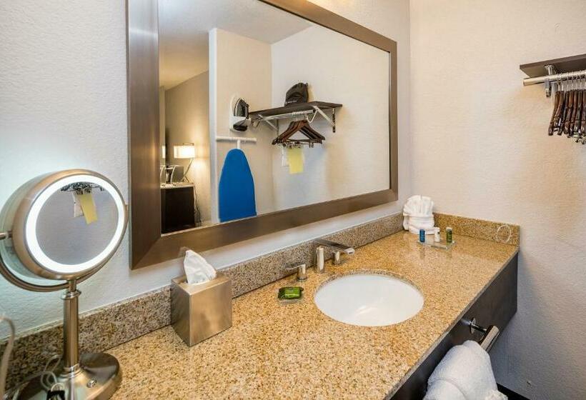 غرفة قياسية سرير كينج, Radisson Hotel Oakland Airport