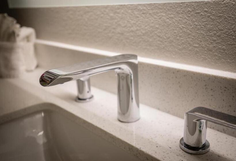 غرفة بريميوم, Radisson Hotel Oakland Airport