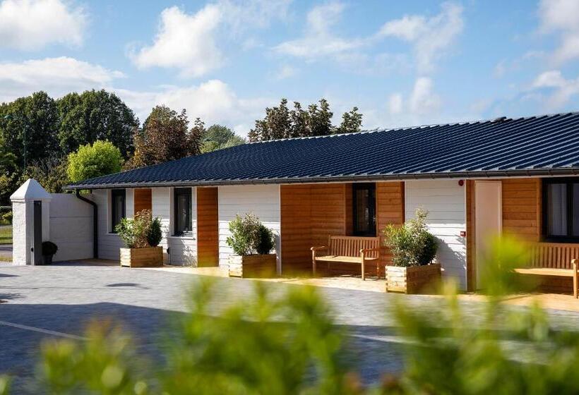Номер Deluxe, Cocoon Inn
