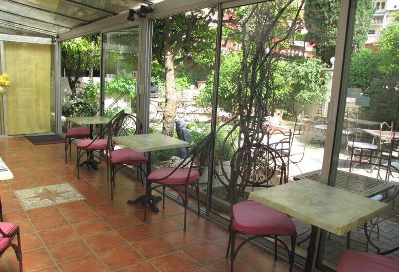 带大床的豪华间, Hôtel Les Orangers