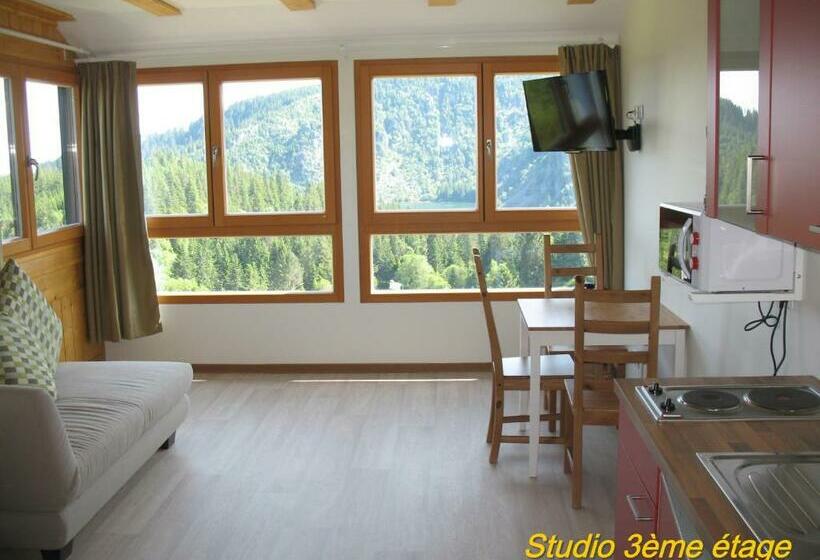 Студия Стандарт, Les Terrasses Du Lac Blanc   Studios & Appartements