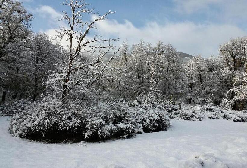 اتاق استاندارد با چشم‌انداز دریاچه, Dos Bahias Lake Resort