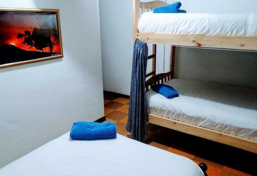共用房间的床, Erupcion Art Hotel & Hostel