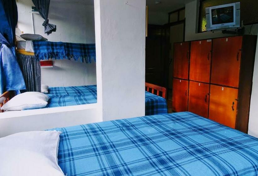Кровать в Общей Комнате, Erupcion Art Hotel & Hostel