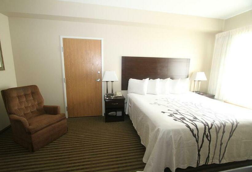 스탠다드 룸 킹사이즈 침대, Bowman Inn And Suites