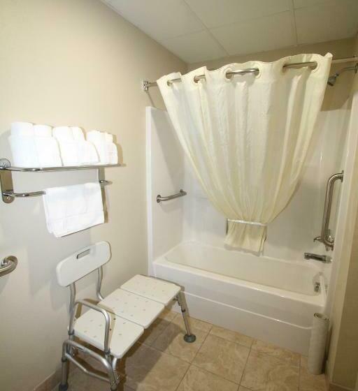장애인을 위한 킹사이즈 침대 스탠다드 룸, Bowman Inn And Suites