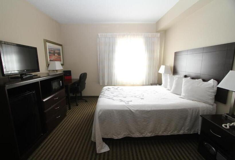 장애인을 위한 스탠다드 룸, Bowman Inn And Suites