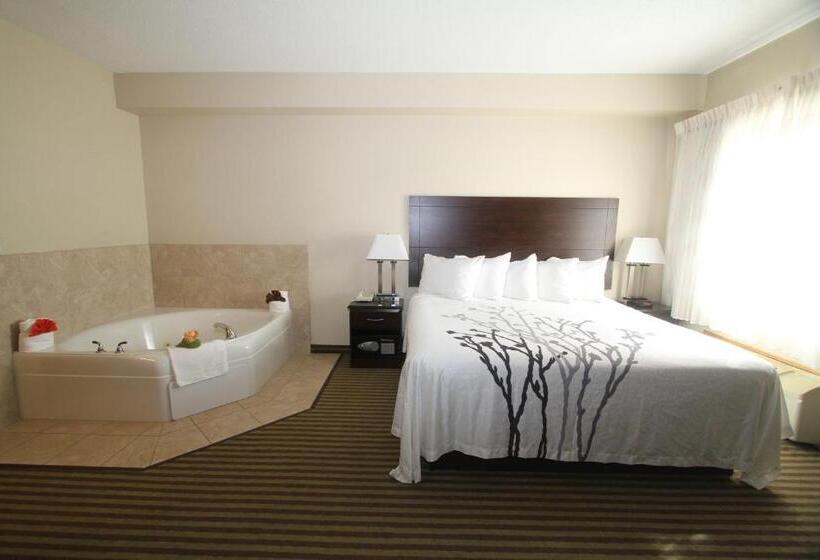 스탠다드 룸 킹사이즈 침대, Bowman Inn And Suites