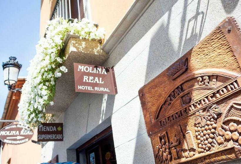 Стандартный Номер Нижний Этаж, Molina Real
