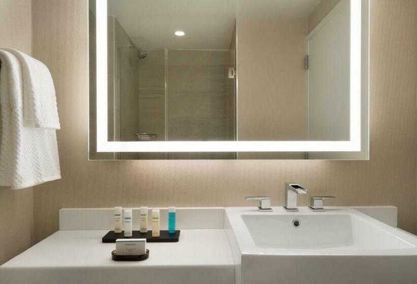 스탠다드 룸 킹사이즈 침대, Embassy Suites By Hilton New York Manhattan Times Square