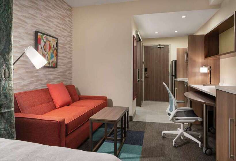 스탠다드 룸 킹사이즈 침대, Embassy Suites By Hilton New York Manhattan Times Square
