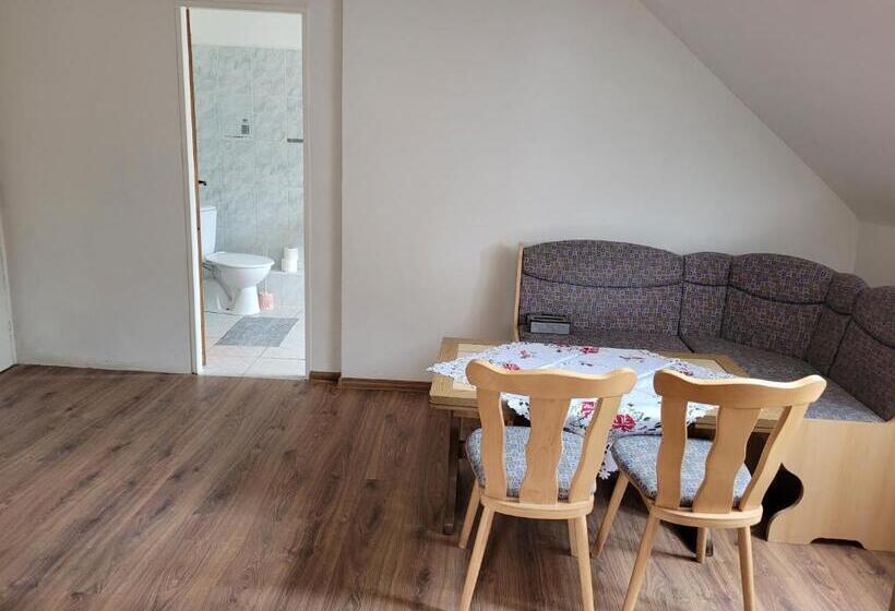 带1个卧室的公寓, Studentská Apartments