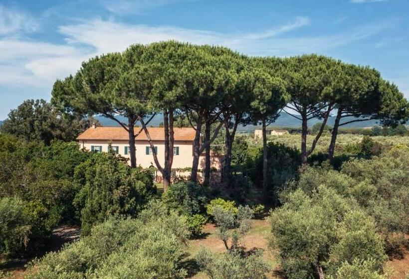 Номер Deluxe, Bb Villa Bolgheri Mare