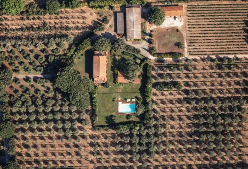 Апартаменты 1 Спальня Нижний Этаж, Bb Villa Bolgheri Mare