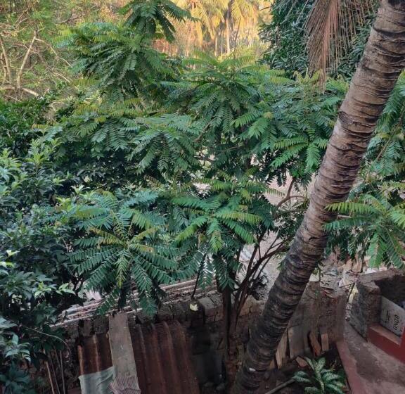 豪华房间, Leon Home Stay