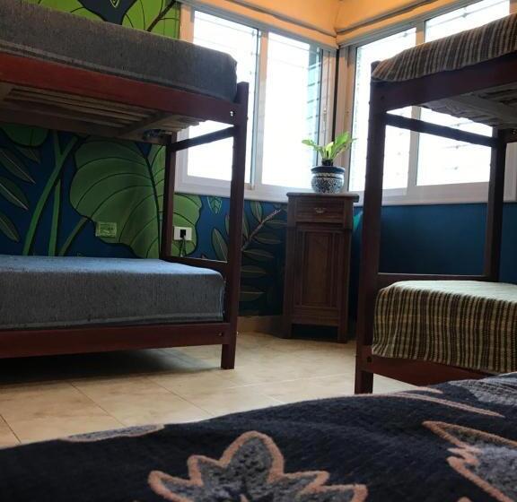 Четырехместный Номер Стандарт, Hostel House Casa De Los Pájaro