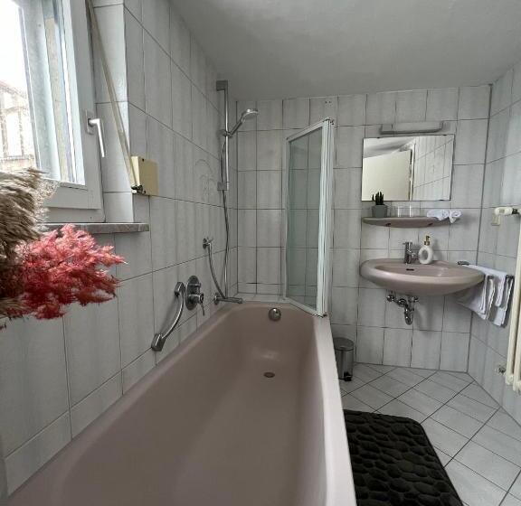 スタンダードルーム, Haus Zum Guten Hirten