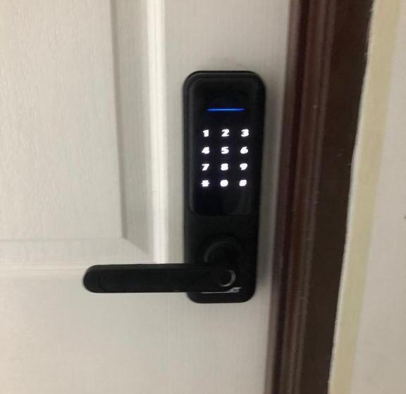 经济房, Skyn Smart Home
