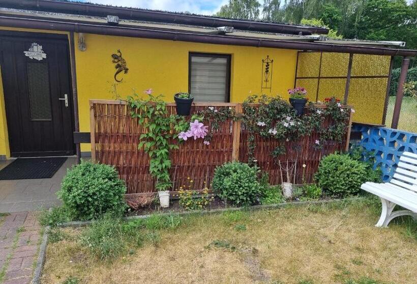Апартаменты 1 Спальня, Pension Wiesenperle