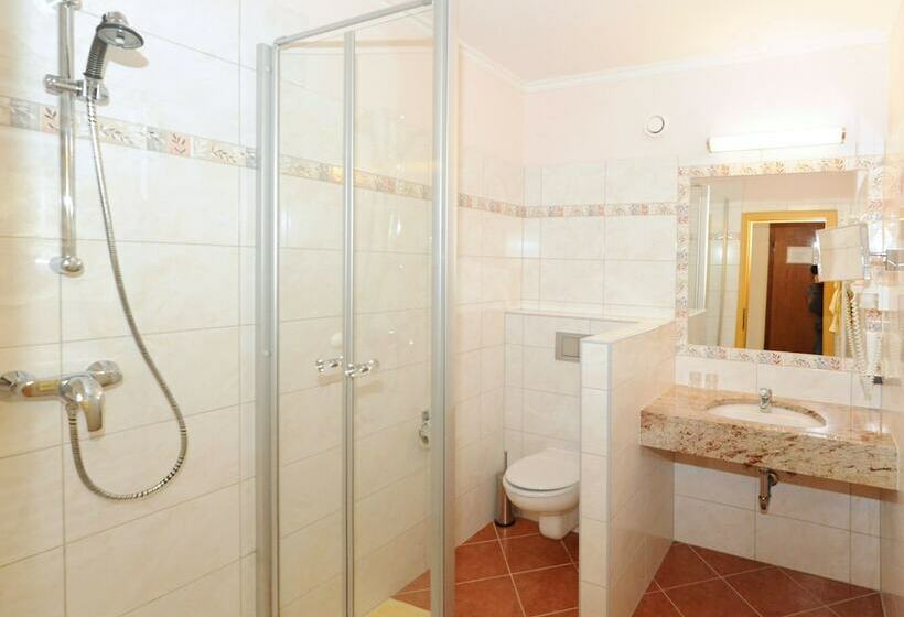 Cameră Standard, Ski In Ski Out Hotel Unterellmau